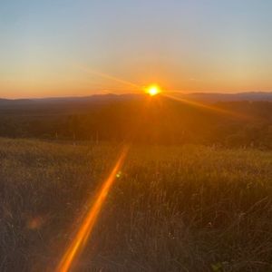 Meet your Posher, Ana